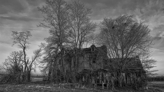 Shooting Challenge: Spooky, Naked Trees